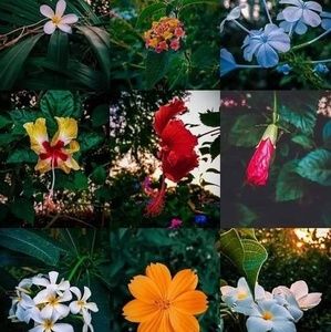 Meet your Posher, Be